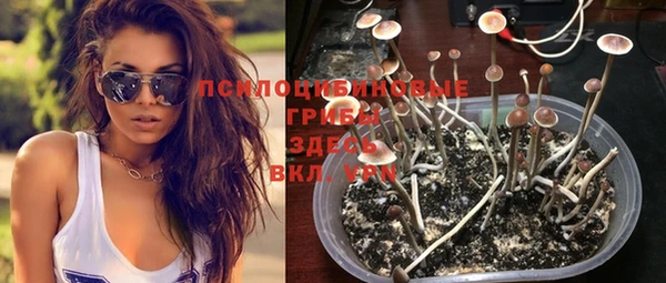соль курить ск Володарск